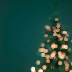 Meet your Posher, Lucy